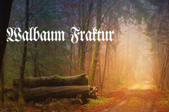 Walbaum Fraktur: A Bold Typeface for Campaigns
